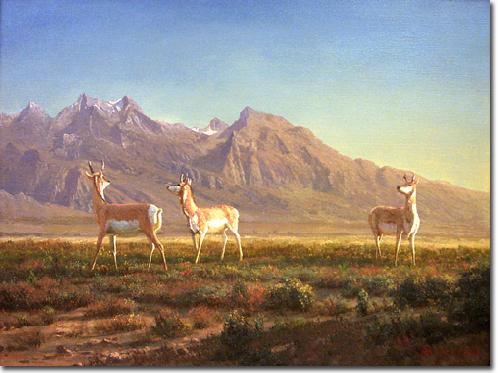 Albert Bierstadt Prong-Horned Antelope Germany oil painting art